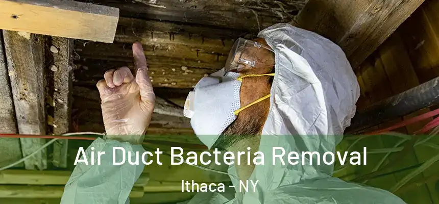  Air Duct Bacteria Removal Ithaca - NY