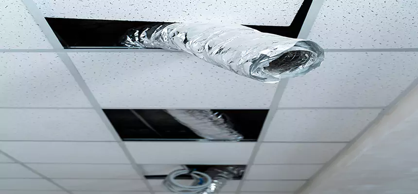 Our Air Duct Pet Hair Removal Services in Ithaca, NY