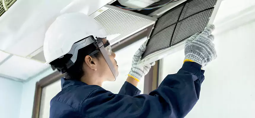 Our Mold & Mildew Removal from Air Ducts Services in Ithaca, NY