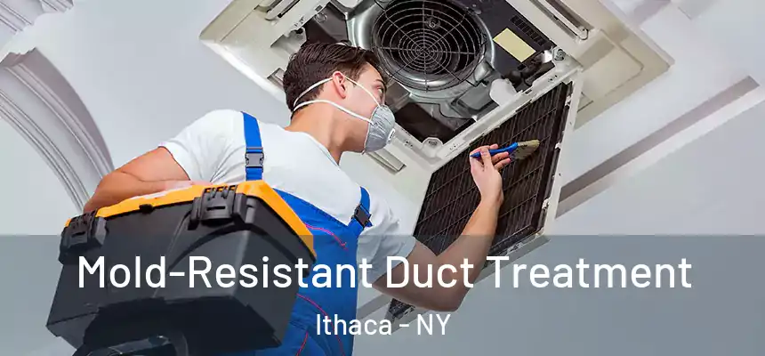  Mold-Resistant Duct Treatment Ithaca - NY