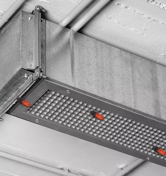 About Air Duct Cockroach Removal in Ithaca, NY