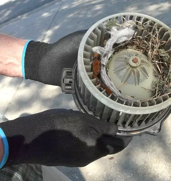 About Air Duct Mice Removal in Ithaca, NY