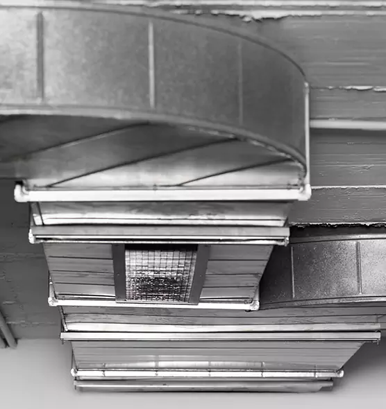 Professional Air Duct Pet Hair Removal in Ithaca, NY