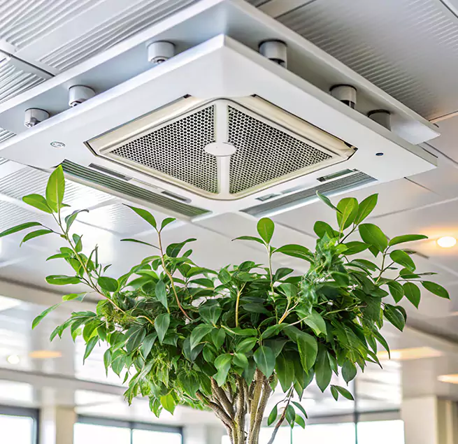 Why Homeowners & Businesses Trust Us in Ithaca, NY?